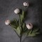 6 PCS Beige Artificial Peony Branches with Stems, 27” Faux Silk Peonies for Vase, Bulk Fake Flowers for DIY Bouquets, Wedding Centerpieces, Table Arrangements, Bridal Shower & Home Decor